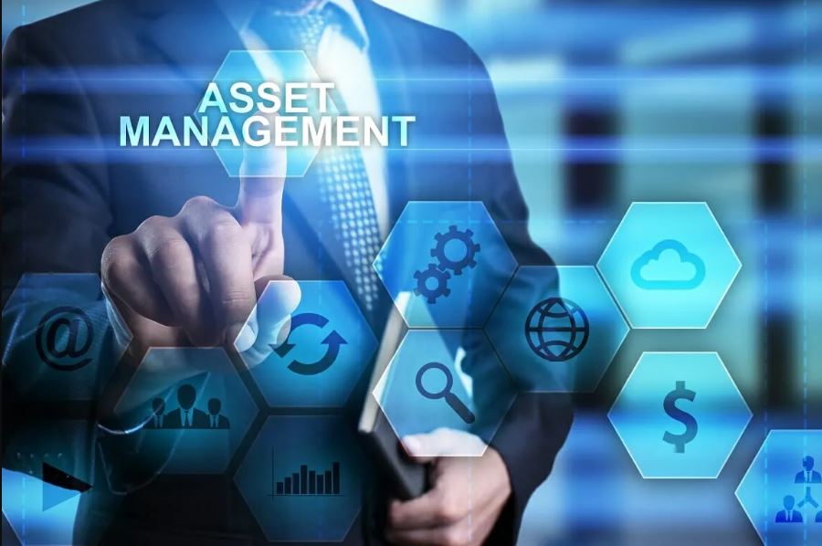 Key Differences Between Asset Management and Investment Management