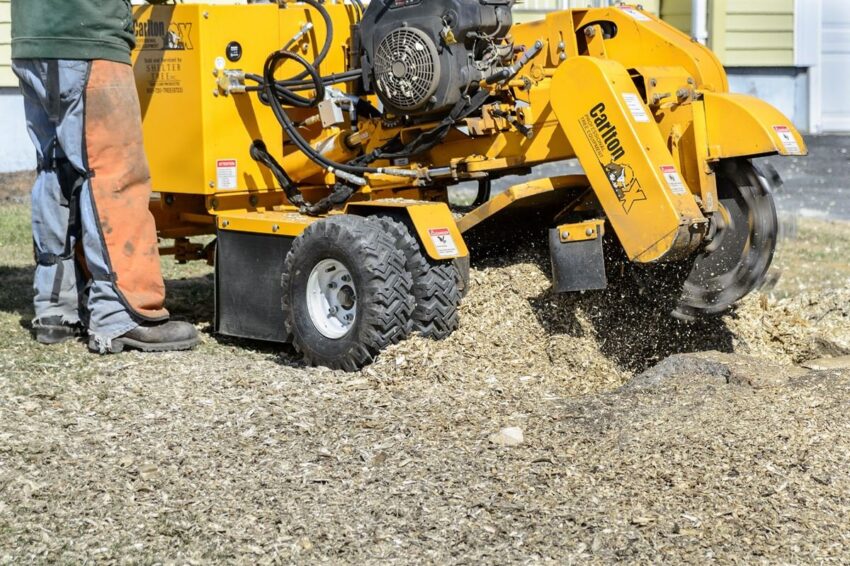 Arbor stump grinding