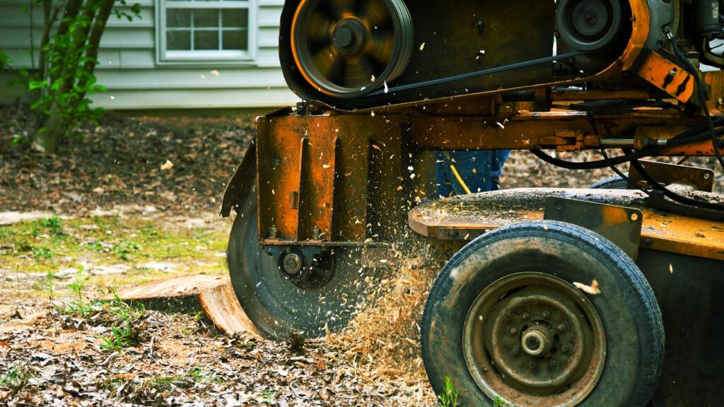 stump grinding