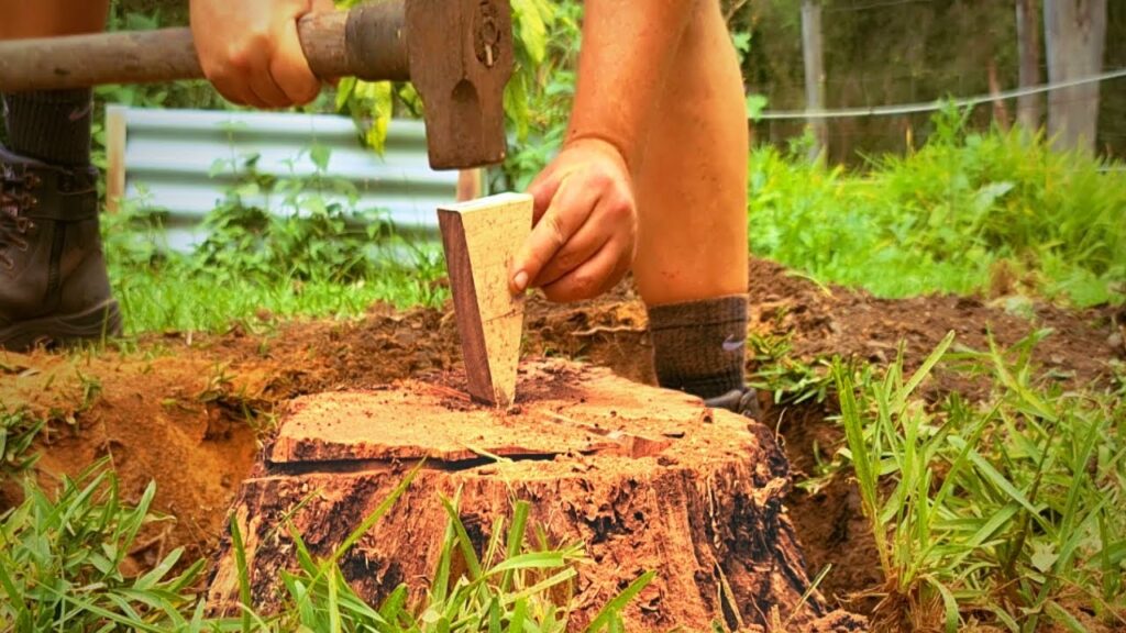 right stump remove