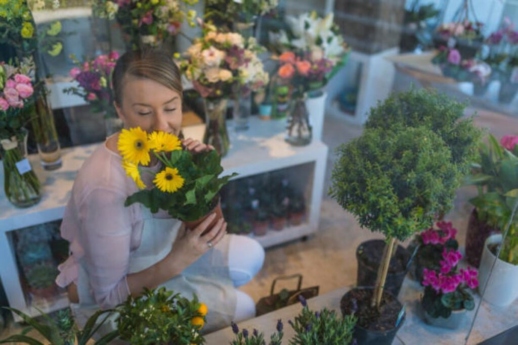 florists lane cove