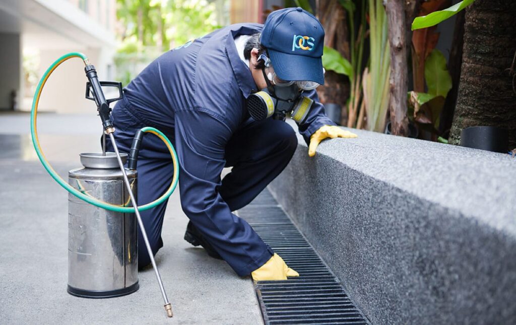 residential pest control sydney