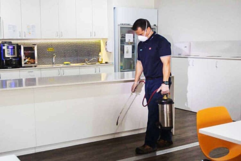 residential pest control sydney