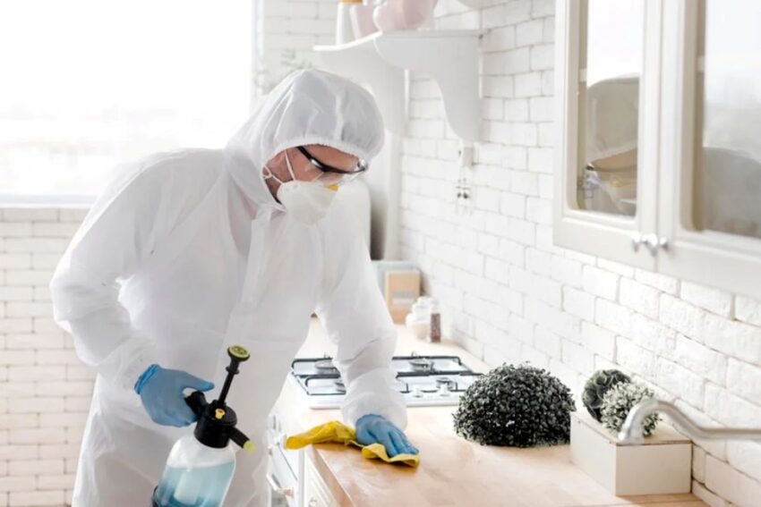 residential pest control sydney